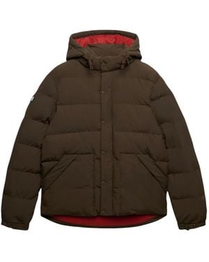 Superdry Winter Jackets - Marrón