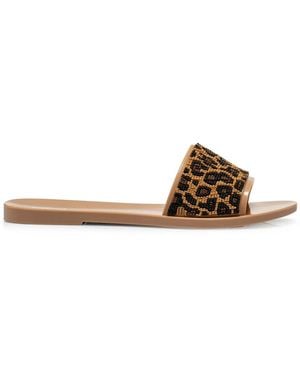 Melissa Sliders - Bruin