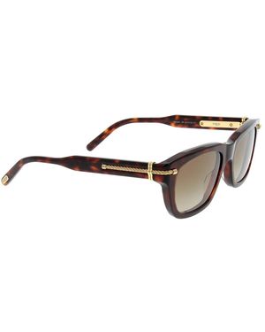 Fred Stylische Sonnenbrille Für Männer Und Frauen - Braun