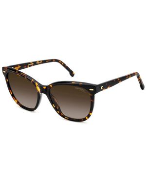 Carrera 3043/S Zonnebril - Bruin