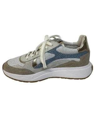 van Bommel Sneakers - Gris