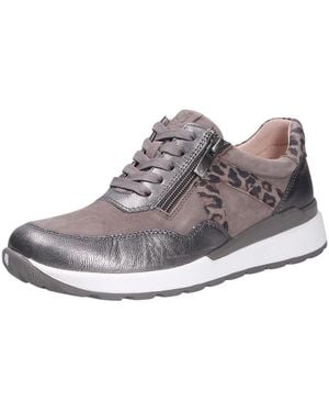 Peter Kaiser Sneakers - Gris