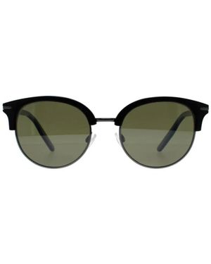 Serengeti Sunglasses - Verde