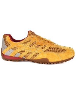Geox Trainers - Brown