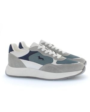 Harmont & Blaine Trainers - Blue