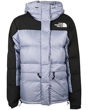 The North Face Winter Jackets - Blue