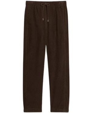 Pennyblack Broeken ,Bruin ,Katoen Tapered Broeken