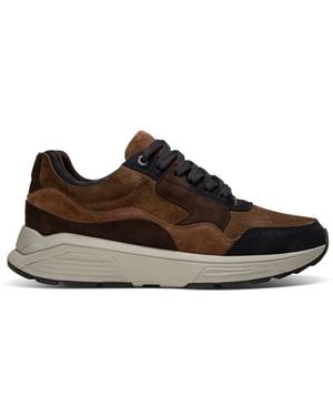 Xsensible Sneakers - Marrón