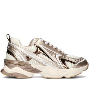 Steve Madden Trainers - White