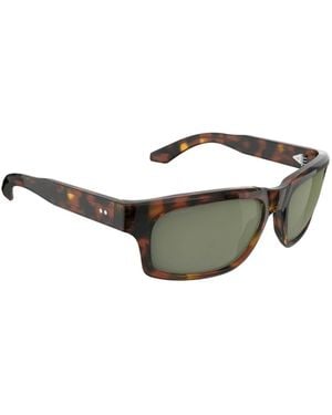 Serengeti Sunglasses - Brown