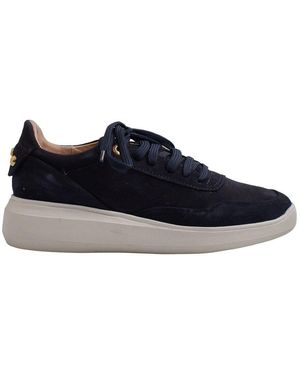 Geox Sneakers - Bleu