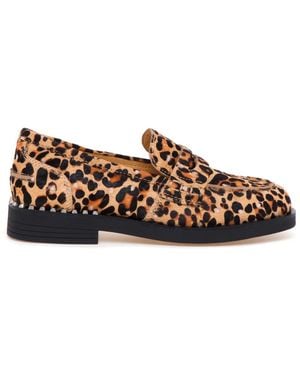 Ash Loafers - Marrone