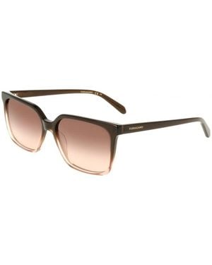Ferragamo Sunglasses - Brown