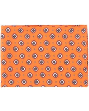 Alberto Biani Silk Scarves - Orange