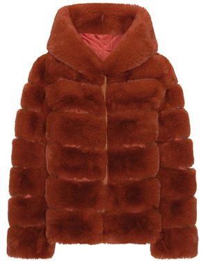 American Dreams Faux Fur & Shearling Jackets - Marrón