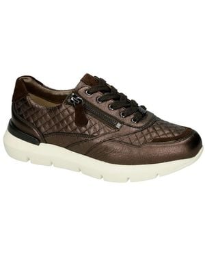 HASSIA 4-30 1331 Bordeaux - Braun