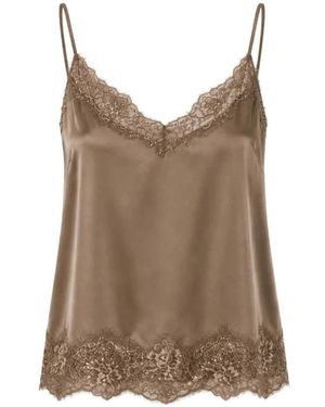 Xirena Colette Top - Bruin