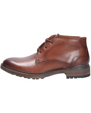 Lloyd Vibe 325 - Bruin