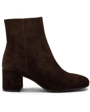 Carmens Amber Daily - Bruin