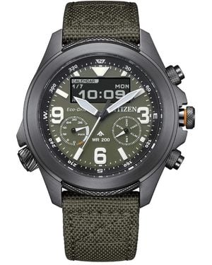 Citizen Watches - Gris