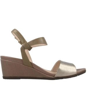 Stonefly Wedges - Gris