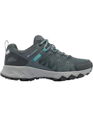 Columbia Trainers - Grey