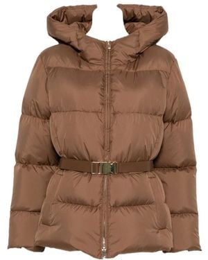 Max Mara Winter Jackets - Marron