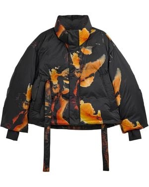 Y-3 Winter Jackets - Multicolor
