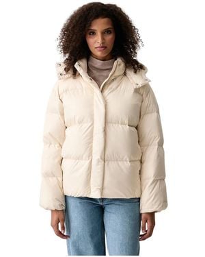 Levi's Down Jackets - Neutre