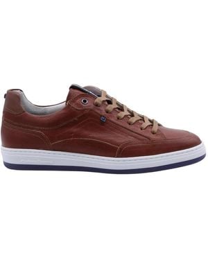 Floris Van Bommel Sneakers - Brown