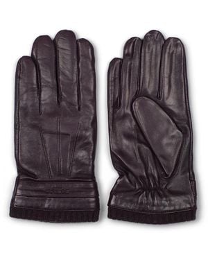 Howard London Gloves - Bruin