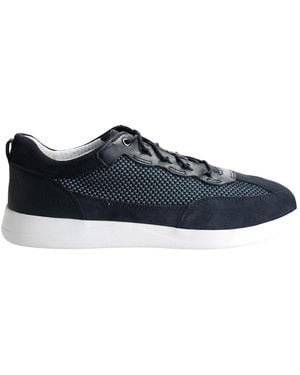 Geox Sneakers - Bleu
