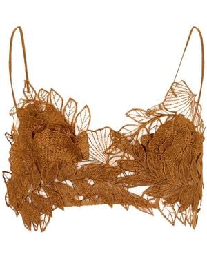 Alberta Ferretti Tops ,Bruin ,Bras
