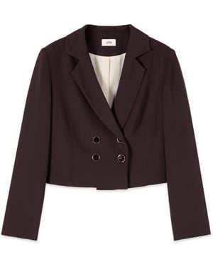 Oltre Cropped Blazer Zweireihig - Lila