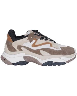 Ash Sneakers - Grigio