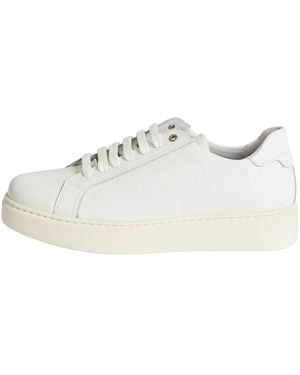 Exton Sneakers - Blanc