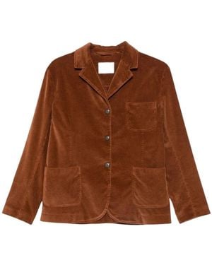 Circolo 1901 Blazers - Marrón