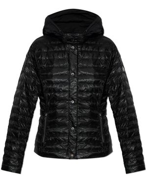 Moose Knuckles Down Jackets - Negro