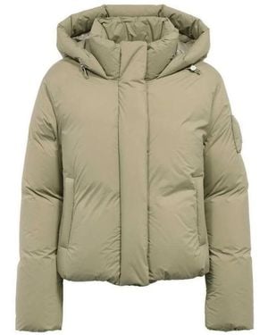 Moose Knuckles Winter Jackets - Groen