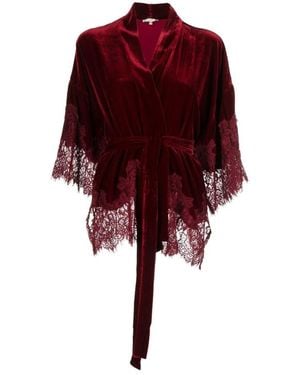 Gold Hawk Blouses - Rood