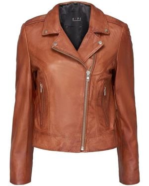 Notyz Leather Jackets - Brown