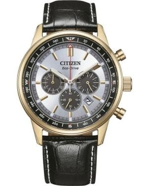 Citizen Watches - Metallic