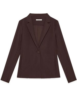 Maliparmi Blazers - Bruin