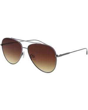 Ted Baker Sunglasses - Marrone