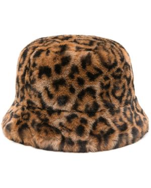 Apparis Hats - Bruin