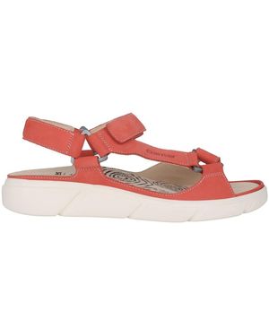 Ganter Flat Sandals - Rojo