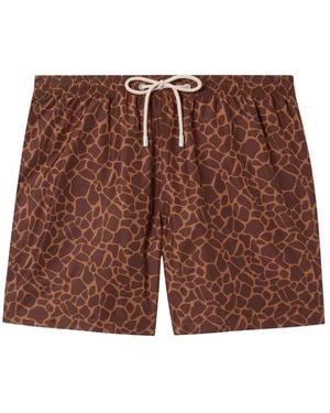 MC2 Saint Barth Beachwear - Brown