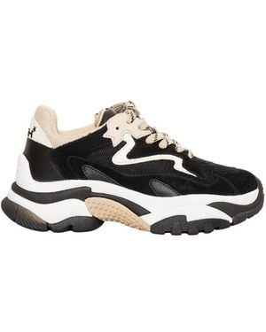 Ash Sneakers - Nero