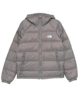 The North Face Winter Jackets - Gris