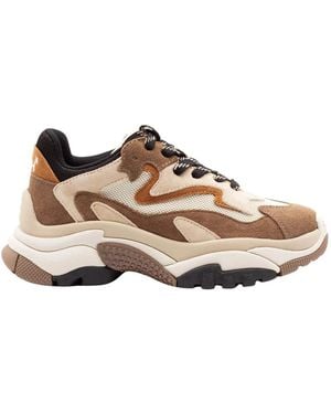 Ash Sneakers - Marrón